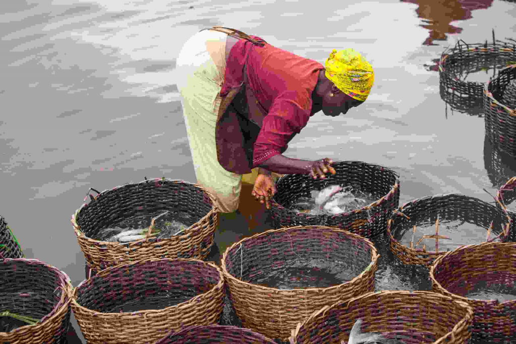 Women from Epe fishing