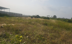 Sterling Court Land