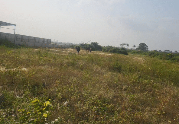 Sterling Court Land